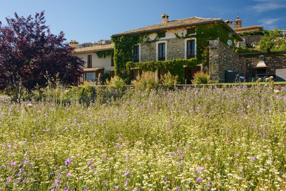Casa Sarasa Pensionat Berdun Exteriör bild